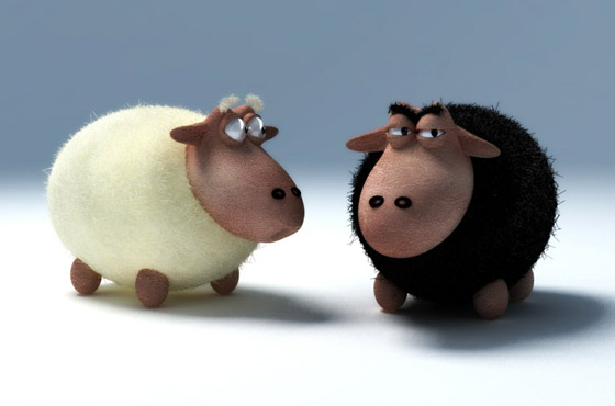 blog sheeps