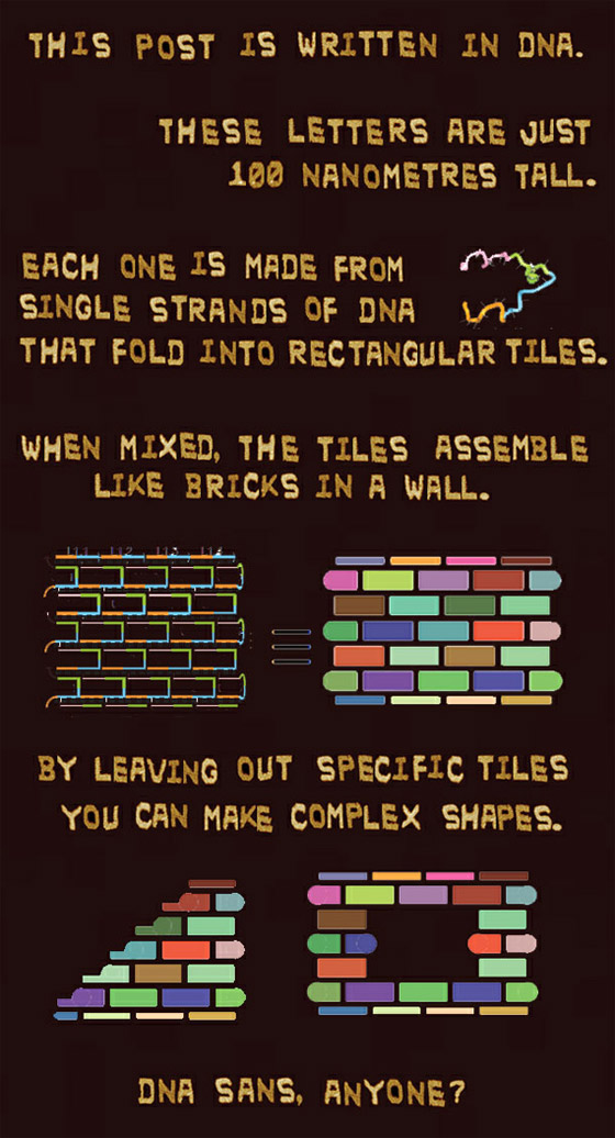 DNA Alphabet