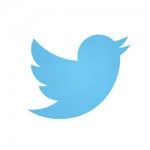 O novo passarinho do Twitter