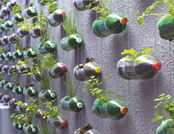 Horta vertical com garrafas PET