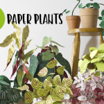 DIY: reaproveite sobras de papel e faça paper plants para decorar seu escritório