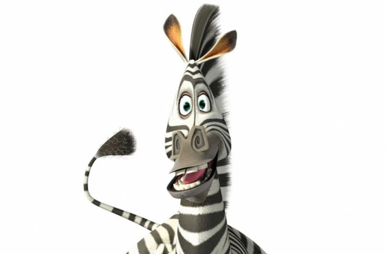 zebra caolha