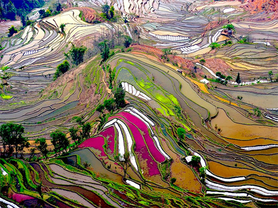 Foto por Thierry Bornier.