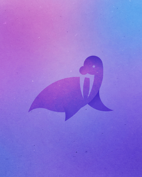 poster-walrus