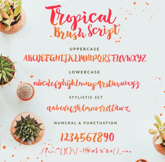 Tropical-Brush-Script-Free-Demo-prev03